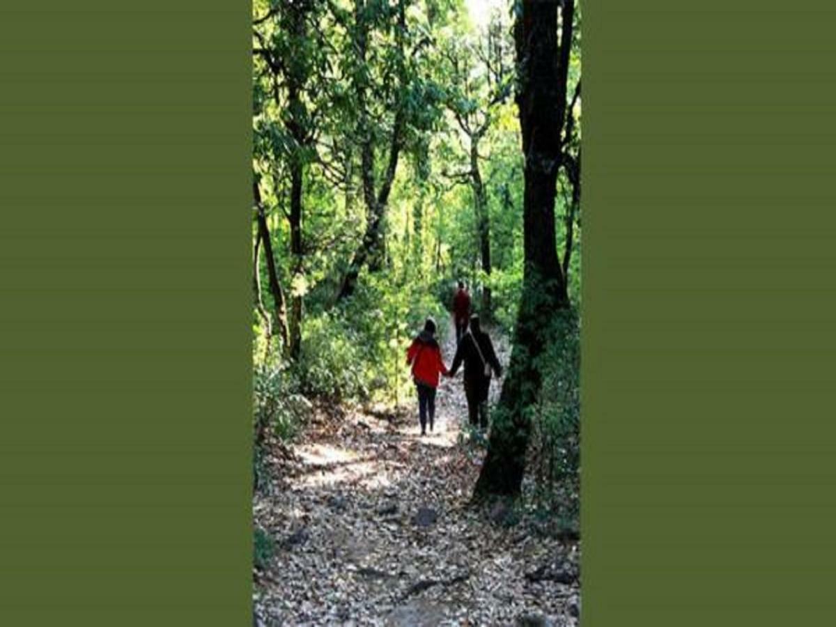 Jungle Lore Birding Lodge Nainital Eksteriør billede